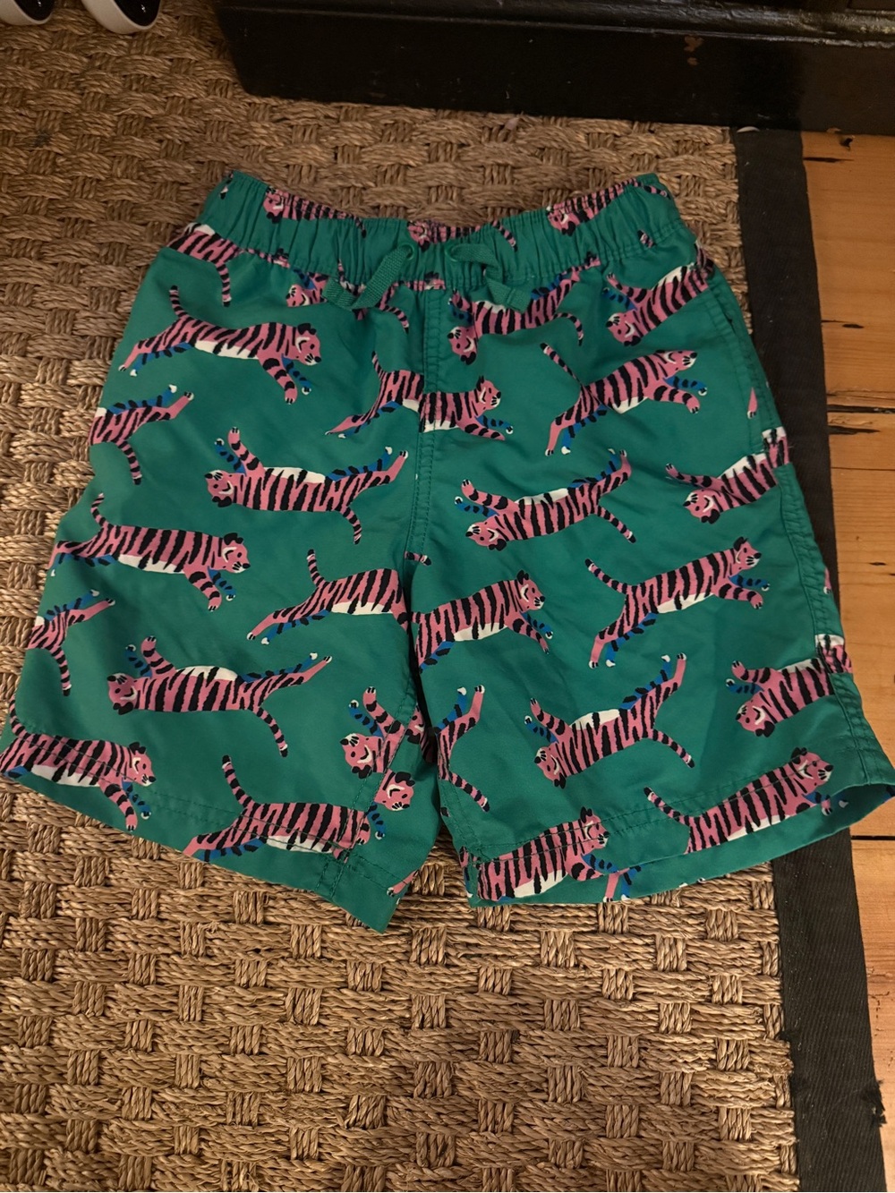 Hanna Andersson Teal Swim Shorts with Pink Tiger Print